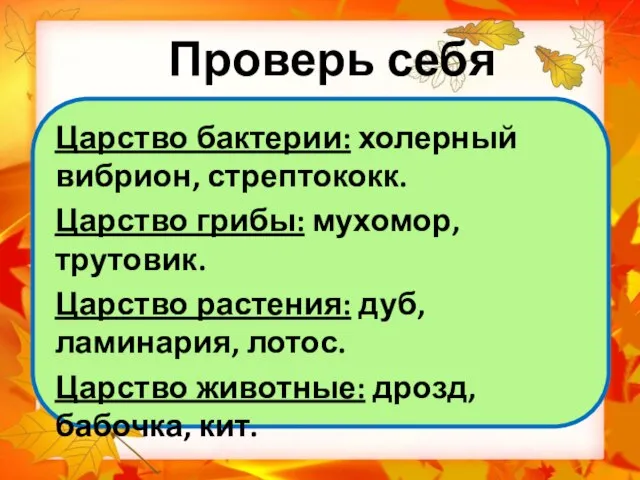 Проверь себя Царство бактерии: холерный вибрион, стрептококк. Царство грибы: мухомор, трутовик. Царство