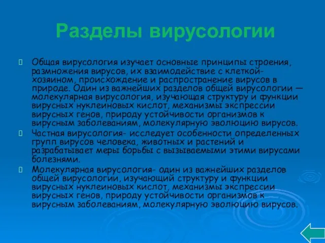 Разделы вирусологии Общая вирусология изучает основные принципы строения, размножения вирусов, их взаимодействие