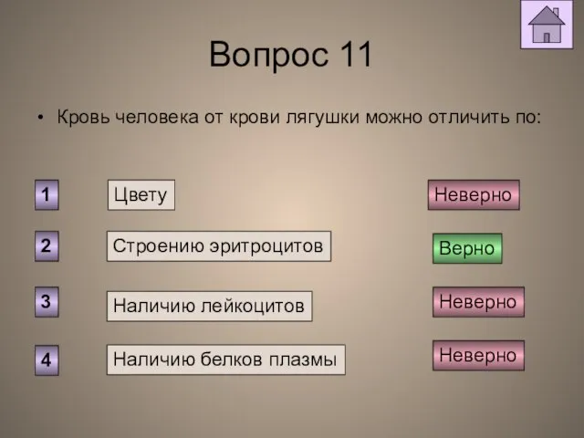 Вопрос 11 Кровь человека от крови лягушки можно отличить по: Цвету Строению