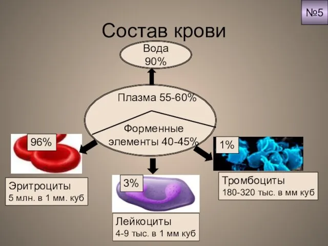 Состав крови Вода 90% Эритроциты 5 млн. в 1 мм. куб Лейкоциты