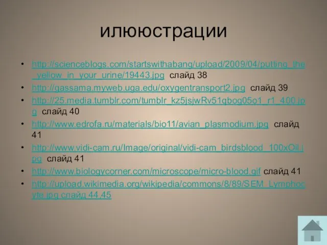 илююстрации http://scienceblogs.com/startswithabang/upload/2009/04/putting_the_yellow_in_your_urine/19443.jpg слайд 38 http://gassama.myweb.uga.edu/oxygentransport2.jpg слайд 39 http://25.media.tumblr.com/tumblr_kz5jsjwRv51qbog05o1_r1_400.jpg слайд 40 http://www.edrofa.ru/materials/bio11/avian_plasmodium.jpg слайд