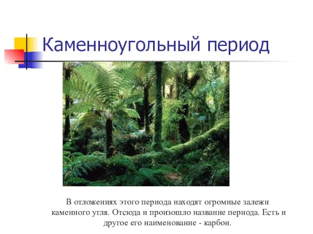 Каменноугольный период В отложениях этого периода находят огромные залежи каменного угля. Отсюда