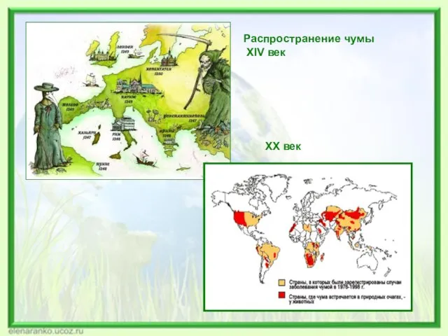 Распространение чумы XIV век ХХ век