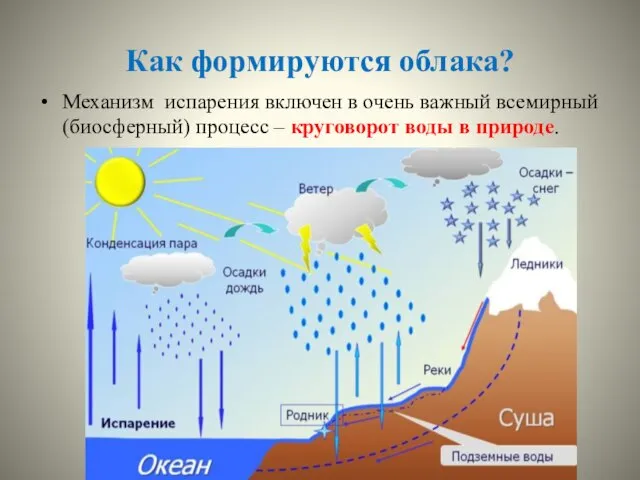 Как формируются облака? Механизм испарения включен в очень важный всемирный (биосферный) процесс