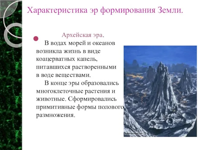 Характеристика эр формирования Земли. Архейская эра. В водах морей и океанов возникла