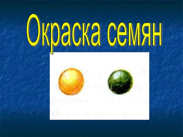 Окраска семян