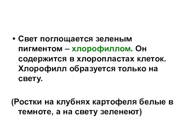 Свет поглощается зеленым пигментом – хлорофиллом. Он содержится в хлоропластах клеток. Хлорофилл