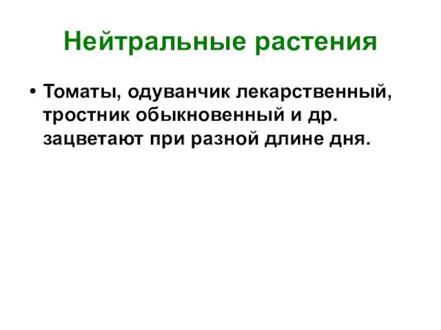 Нейтральные растения Томаты, одуванчик лекарственный, тростник обыкновенный и др. зацветают при разной длине дня.