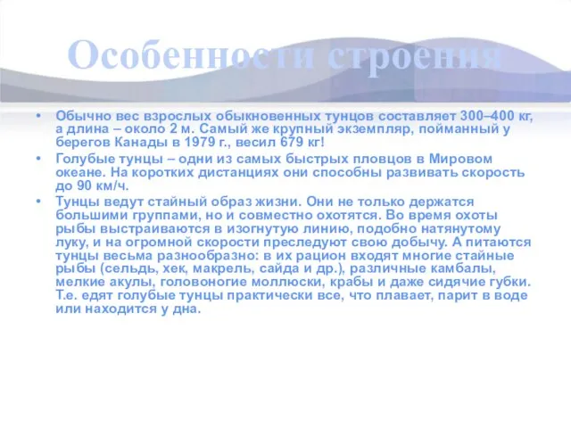 Особенности строения Обычно вес взрослых обыкновенных тунцов составляет 300–400 кг, а длина