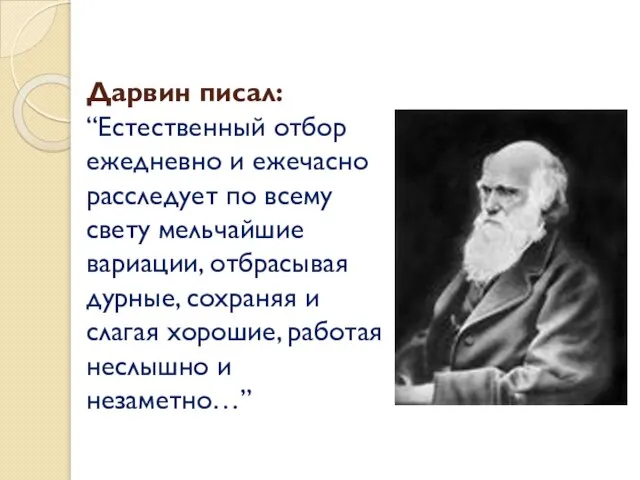 Дарвин писал: “Естественный отбор ежедневно и ежечасно расследует по всему свету мельчайшие