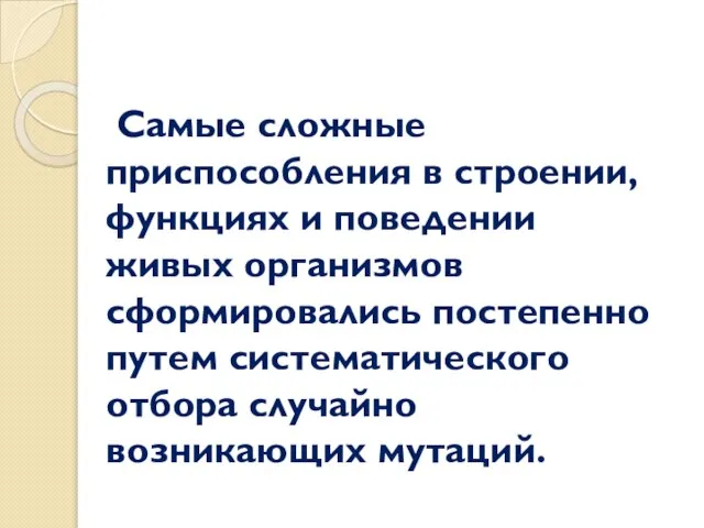 Самые сложные приспособления в строении, функциях и поведении живых организмов сформировались постепенно