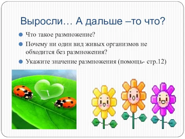 Выросли… А дальше –то что? Что такое размножение? Почему ни один вид