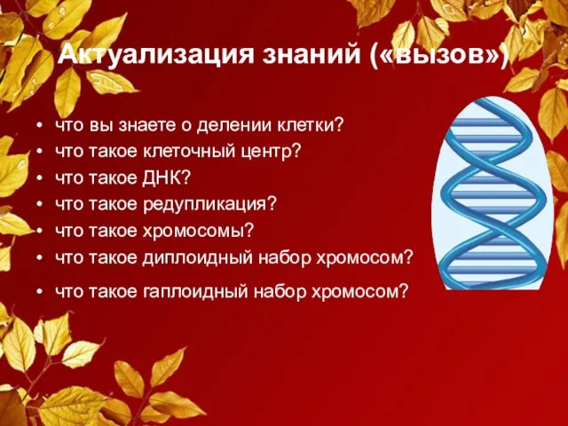 Актуализация знаний («вызов») что вы знаете о делении клетки? что такое клеточный