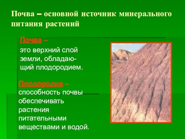 Плодородие – способность почвы обеспечивать растения питательными веществами и водой. Почва –