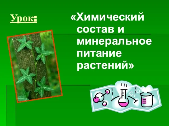 Урок: «Химический состав и минеральное питание растений»