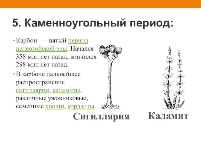 5. Каменноугольный период: Карбон — пятый период палеозойской эры. Начался 358 млн