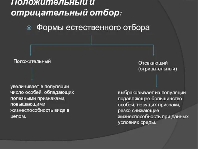 Положительный и отрицательный отбор: Формы естественного отбора Положительный Отсекающий (отрицательный) увеличивает в