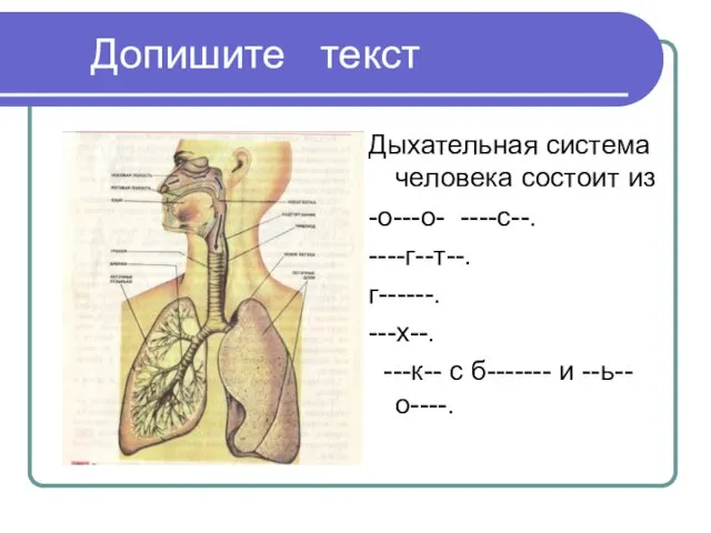 Допишите текст Дыхательная система человека состоит из -о---о- ----с--. ----г--т--. г------. ---х--.