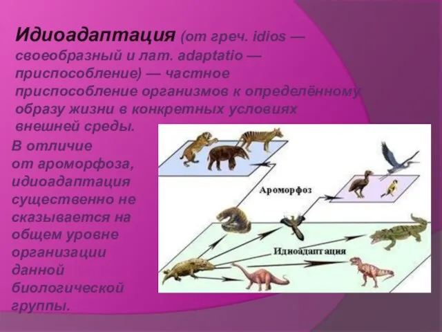 Идиоадаптация (от греч. idios — своеобразный и лат. adaptatio — приспособление) —