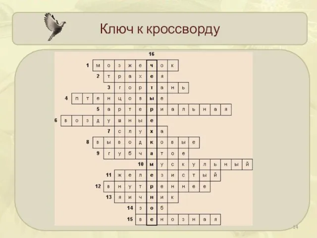 Ключ к кроссворду