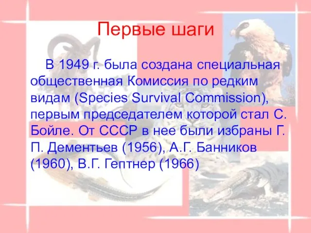 Первые шаги В 1949 г. была создана специальная общественная Комиссия по редким