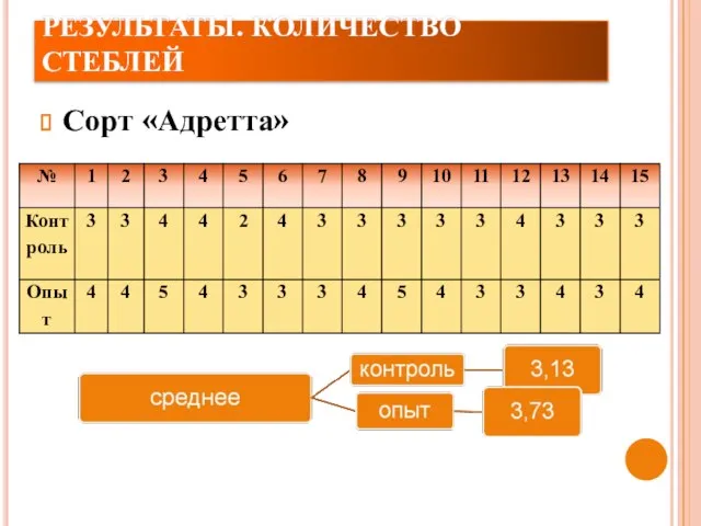 РЕЗУЛЬТАТЫ. КОЛИЧЕСТВО СТЕБЛЕЙ Сорт «Адретта»