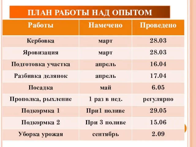 ПЛАН РАБОТЫ НАД ОПЫТОМ