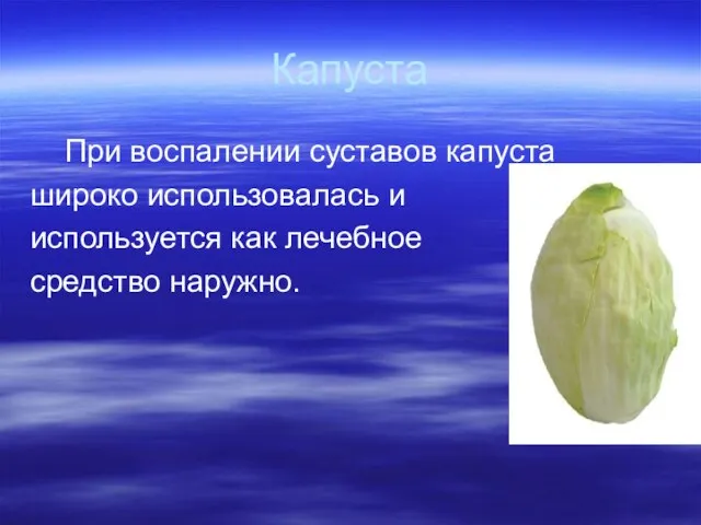 Капуста При воспалении суставов капуста широко использовалась и используется как лечебное средство наружно.