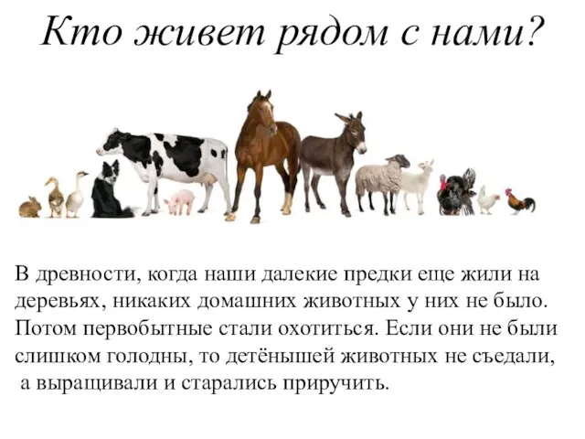 Кто живет рядом с нами? В древности, когда наши далекие предки еще