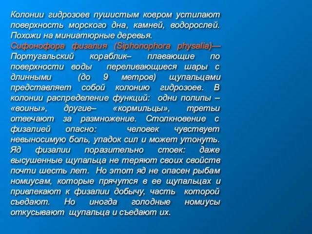 Колонии гидрозоев пушистым ковром устилают поверхность морского дна, камней, водорослей. Похожи на