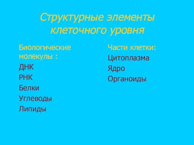 Структурные элементы клеточного уровня Биологические молекулы : ДНК РНК Белки Углеводы Липиды