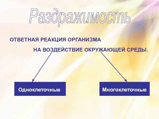 Раздражимость ОТВЕТНАЯ РЕАКЦИЯ ОРГАНИЗМА НА ВОЗДЕЙСТВИЕ ОКРУЖАЮЩЕЙ СРЕДЫ.