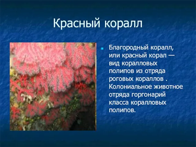 Красный коралл Благородный коралл, или красный корал — вид коралловых полипов из