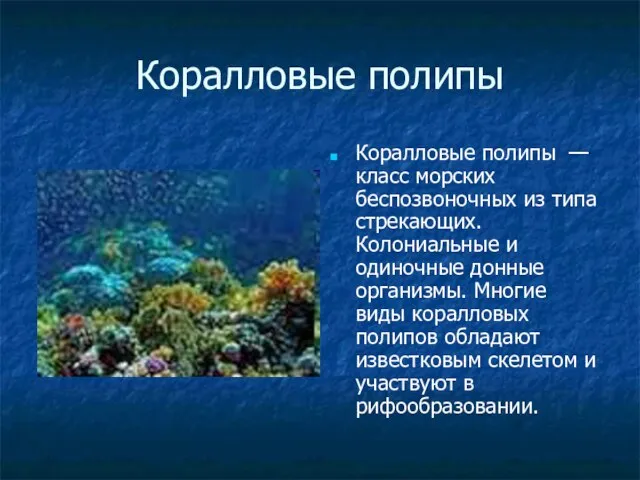 Коралловые полипы Коралловые полипы — класс морских беспозвоночных из типа стрекающих. Колониальные