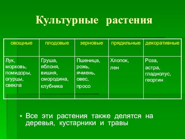 Культурные растения Все эти растения также делятся на деревья, кустарники и травы