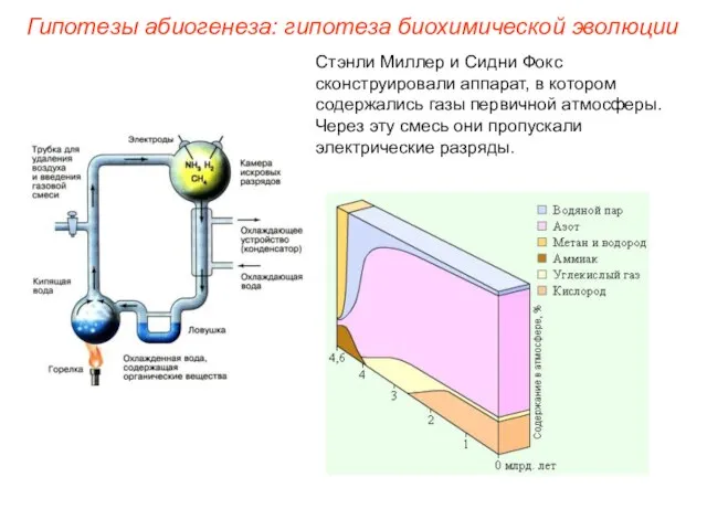 Стэнли Миллер и Сидни Фокс сконструировали аппарат, в котором содержались газы первичной