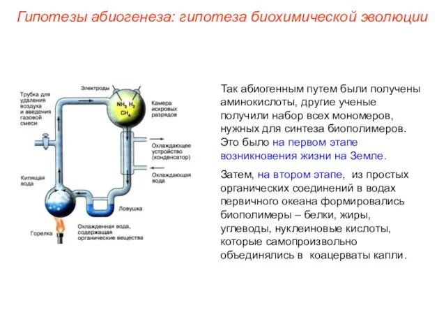 Так абиогенным путем были получены аминокислоты, другие ученые получили набор всех мономеров,