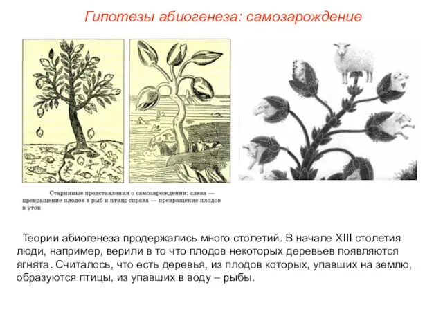 Теории абиогенеза продержались много столетий. В начале ХIII столетия люди, например, верили