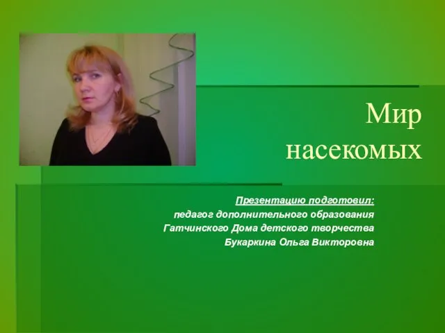 Презентация на тему Мир насекомых