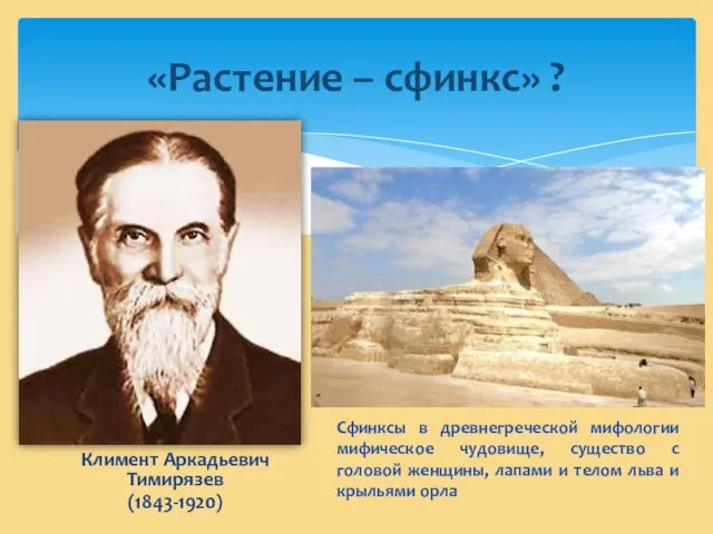 Климент Аркадьевич Тимирязев (1843-1920) «Растение – сфинкс» ? Сфинксы в древнегреческой мифологии