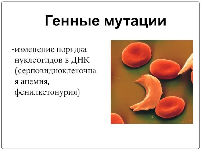 Генные мутации изменение порядка нуклеотидов в ДНК (серповидноклеточная анемия, фенилкетонурия)