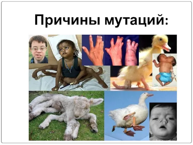 Причины мутаций: