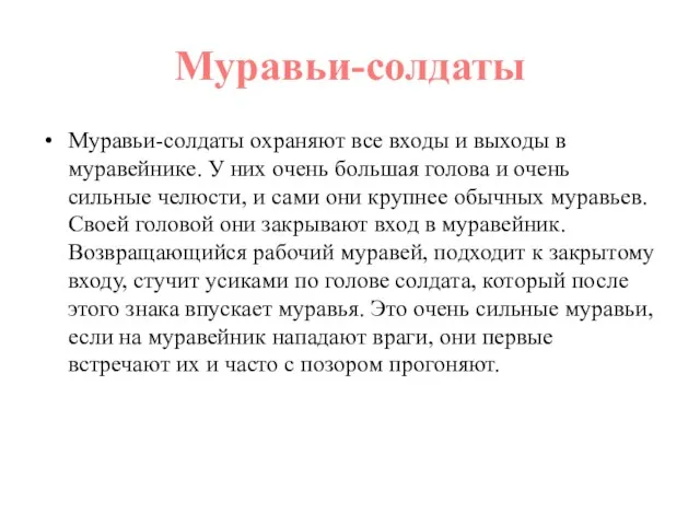 Муравьи-солдаты Муравьи-солдаты охраняют все входы и выходы в муравейнике. У них очень