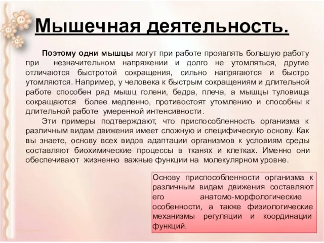 Мышечная деятельность. Поэтому одни мышцы могут при работе проявлять большую работу при