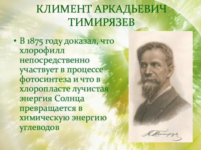 Климент Аркадьевич Тимирязев В 1875 году доказал, что хлорофилл непосредственно участвует в