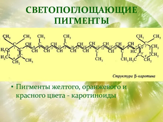 Светопоглощающие пигменты Пигменты желтого, оранжевого и красного цвета - каротиноиды