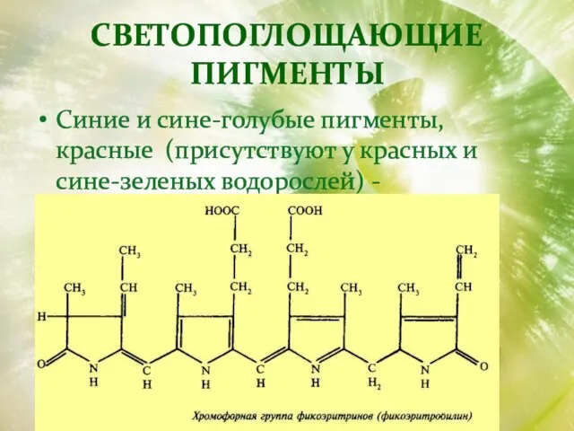 Светопоглощающие пигменты Синие и сине-голубые пигменты, красные (присутствуют у красных и сине-зеленых водорослей) - фикобилины