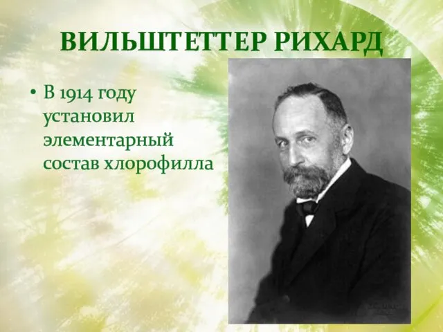 Вильштеттер Рихард В 1914 году установил элементарный состав хлорофилла