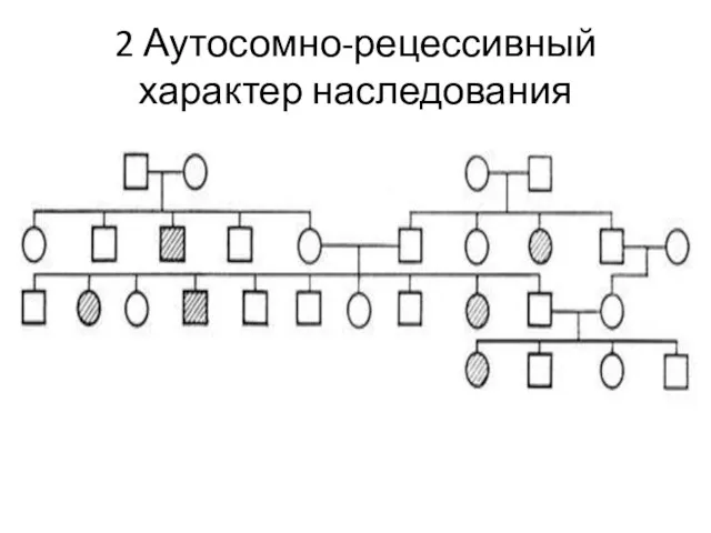 2 Аутосомно-рецессивный характер наследования