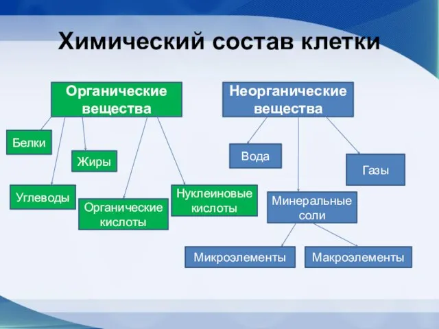 Химический состав клетки Органические вещества Неорганические вещества Белки Углеводы Жиры Органические кислоты